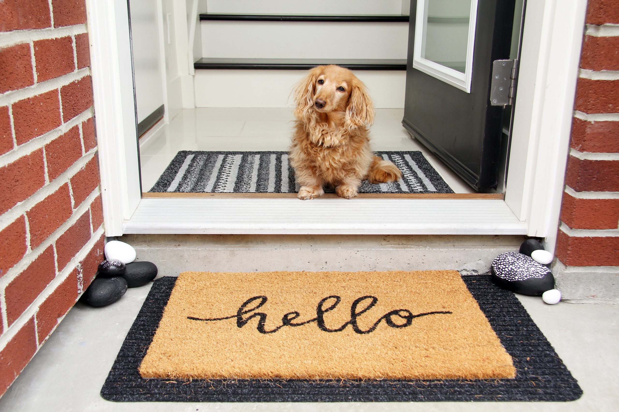 Dog Welcome Mat - Barking Has Saved Us Dog Lover Doormat