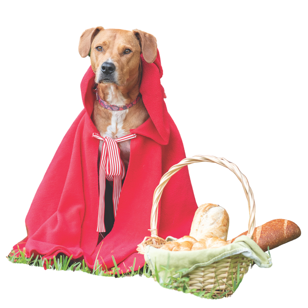 Chloe as Little Red Riding Hood during Barktoberfest