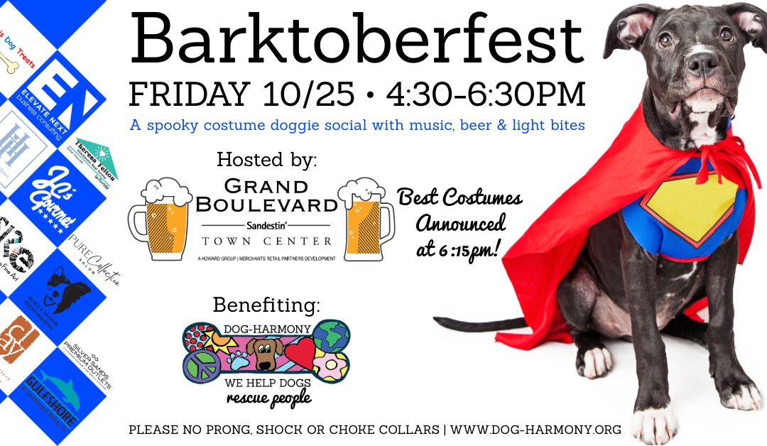 Ninth Annual Barktoberfest