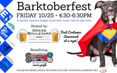 Ninth Annual Barktoberfest