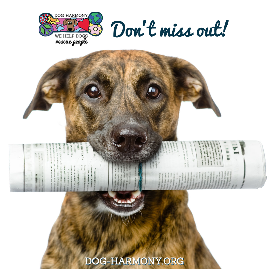 image of a dog holding a rolled-up newsletter in its mouth with the words "don't miss out!"