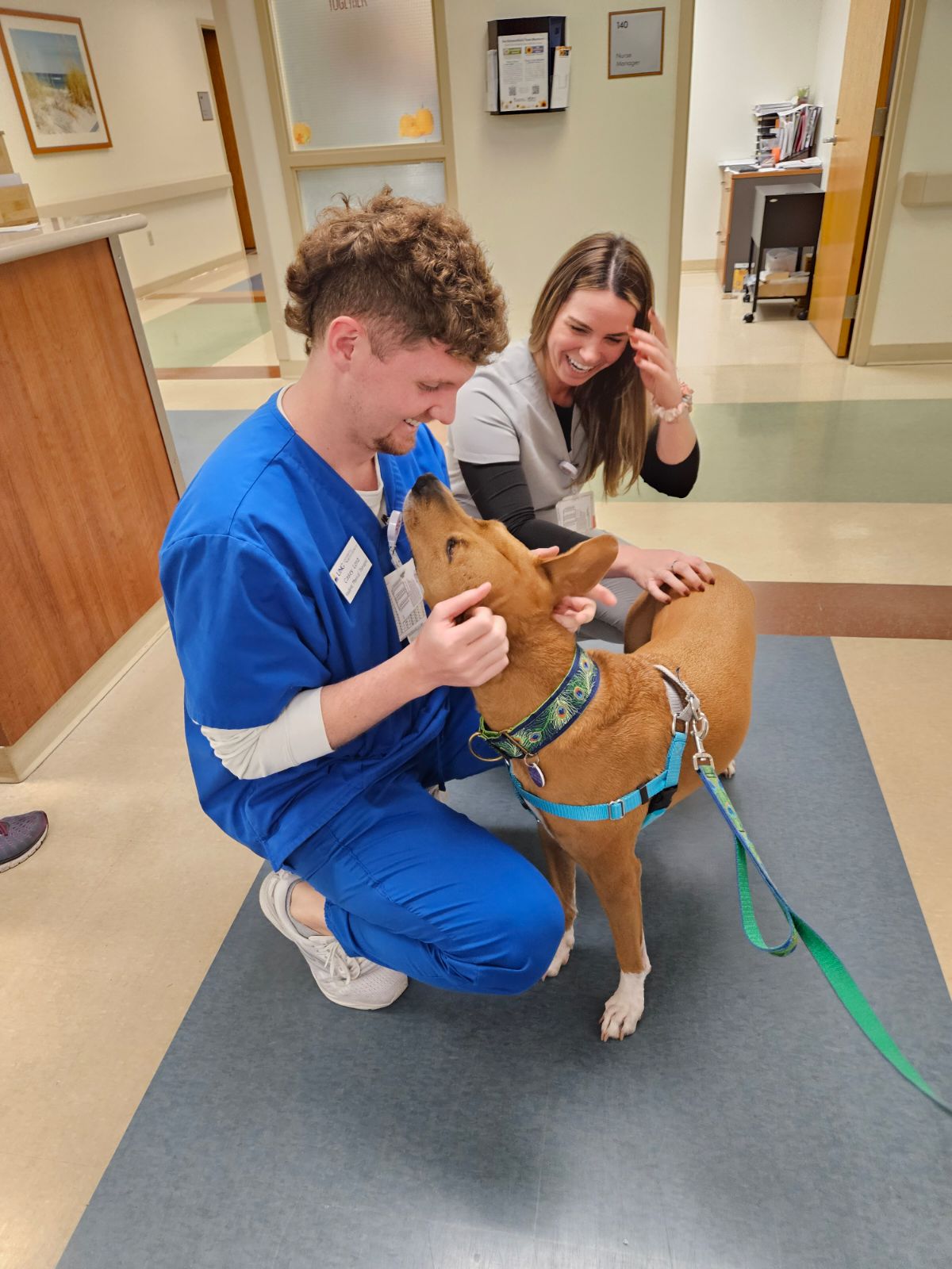 Chloe the therapy dog visiting two smiling HCA Florida Healthcare Employees at the Destin, FL rehabilitation center