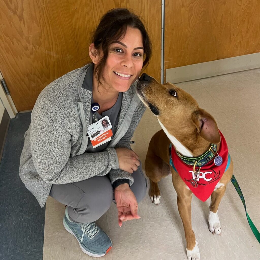 Therapy Dog at HCA Hospital