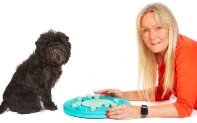 Nina Ottosson and the Origin of Pet Puzzle Games