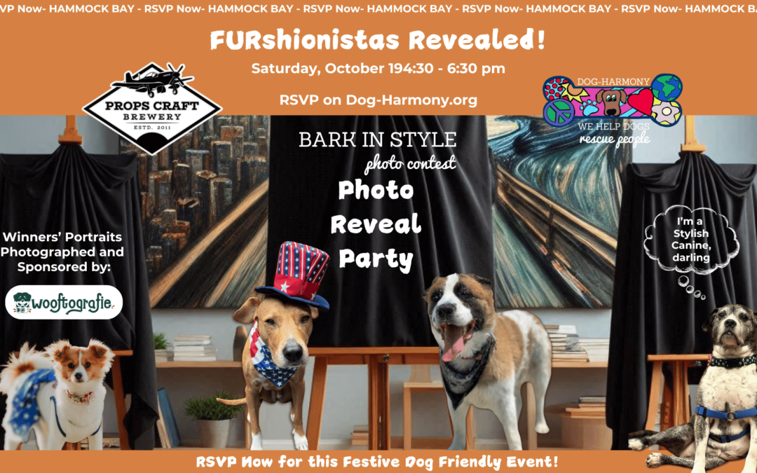 graphic for the bark in style photo reveal party on Saturday, October 19, 2024, from 4:30 to 6:30 pm at Props Brewery in Hammock Bay, FL.