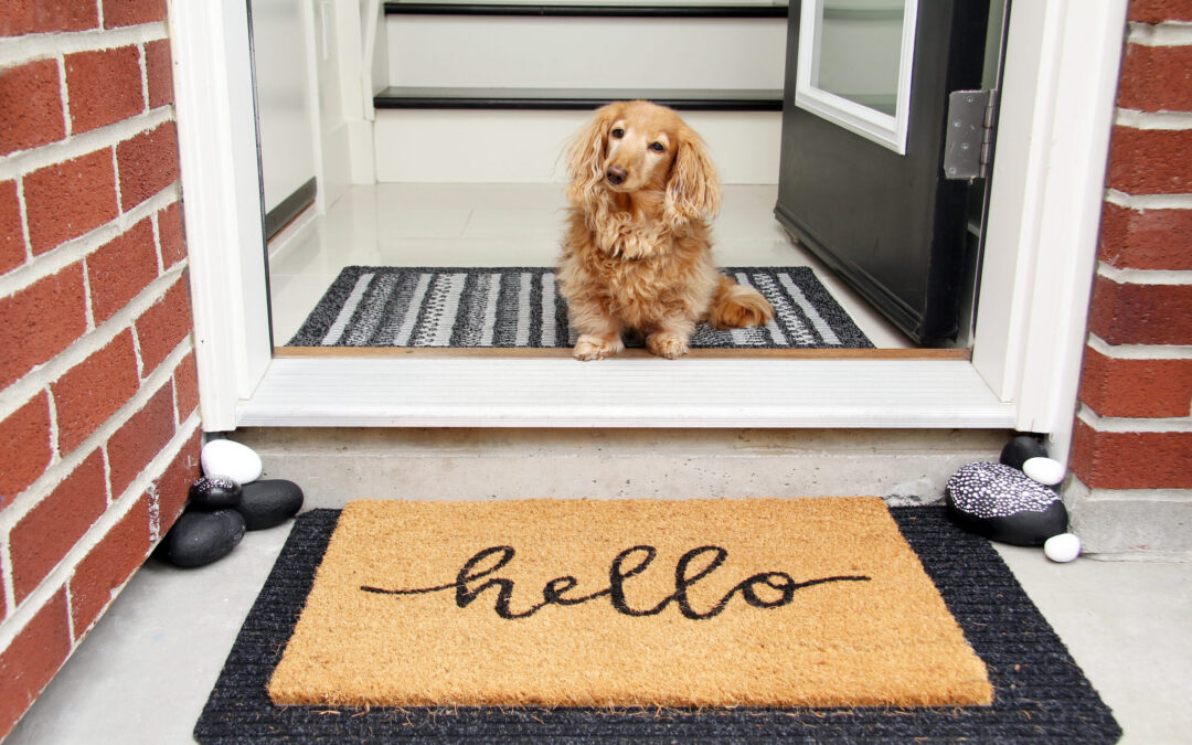 photograph of long-haired dachshund sitting in the entrance doorway of a home with a "hello" mat in front of it