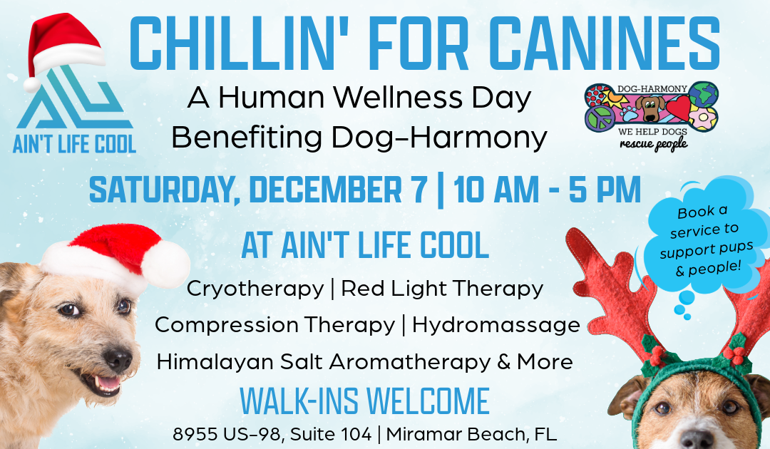 Chillin’ for Canines: A Human Wellness Day at Ain’t Life Cool Benefiting Dog-Harmony