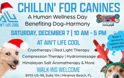 Chillin’ for Canines: A Human Wellness Day at Ain’t Life Cool Benefiting Dog-Harmony