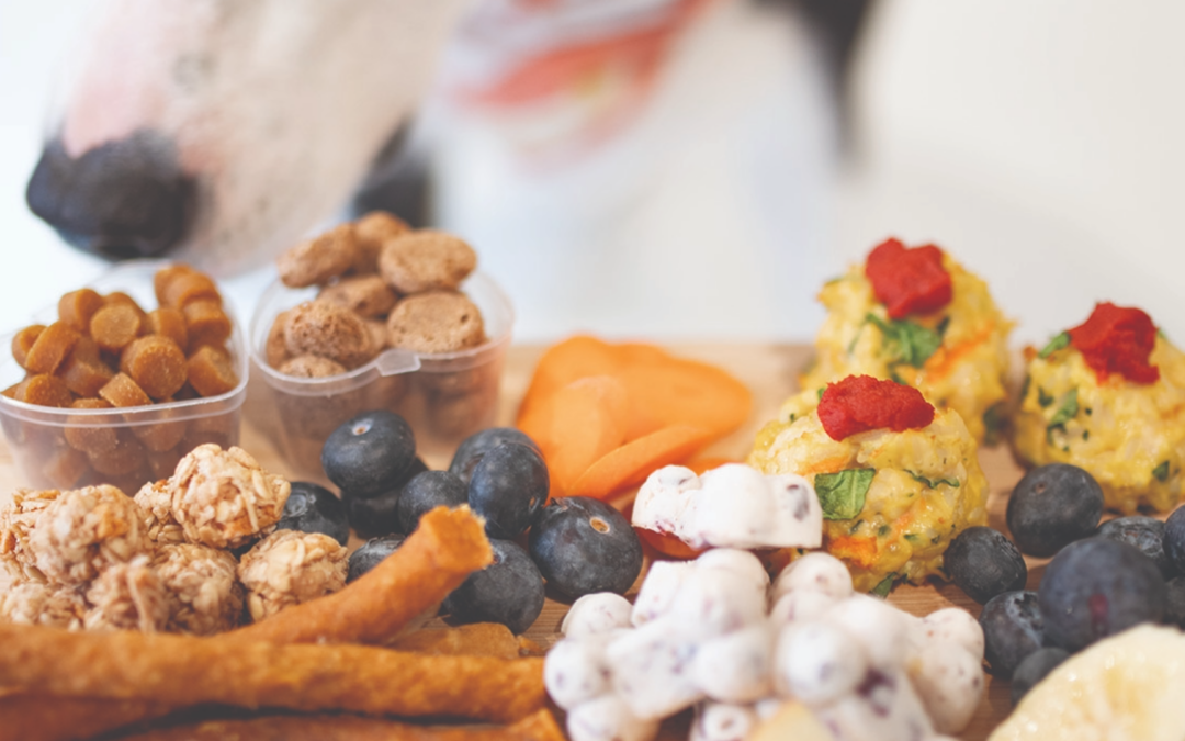 photograph of a dog nose sniffing healthy dog food recipes displayed on a charcuterie board