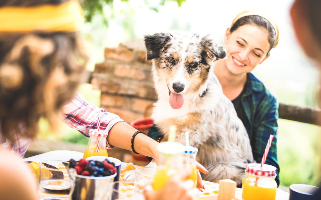 Photo of a dog sitting in his smiling human’s lap at a table filled in food