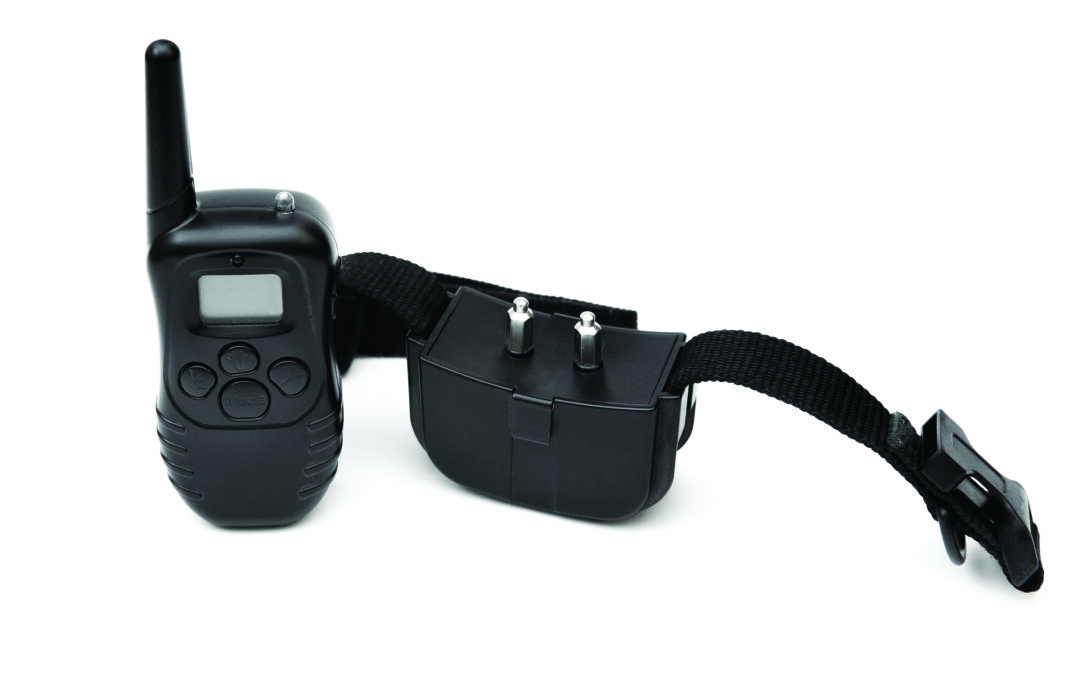 Photograph of an electronic collar next to a remove to send electrical impulses to the canine e-collar