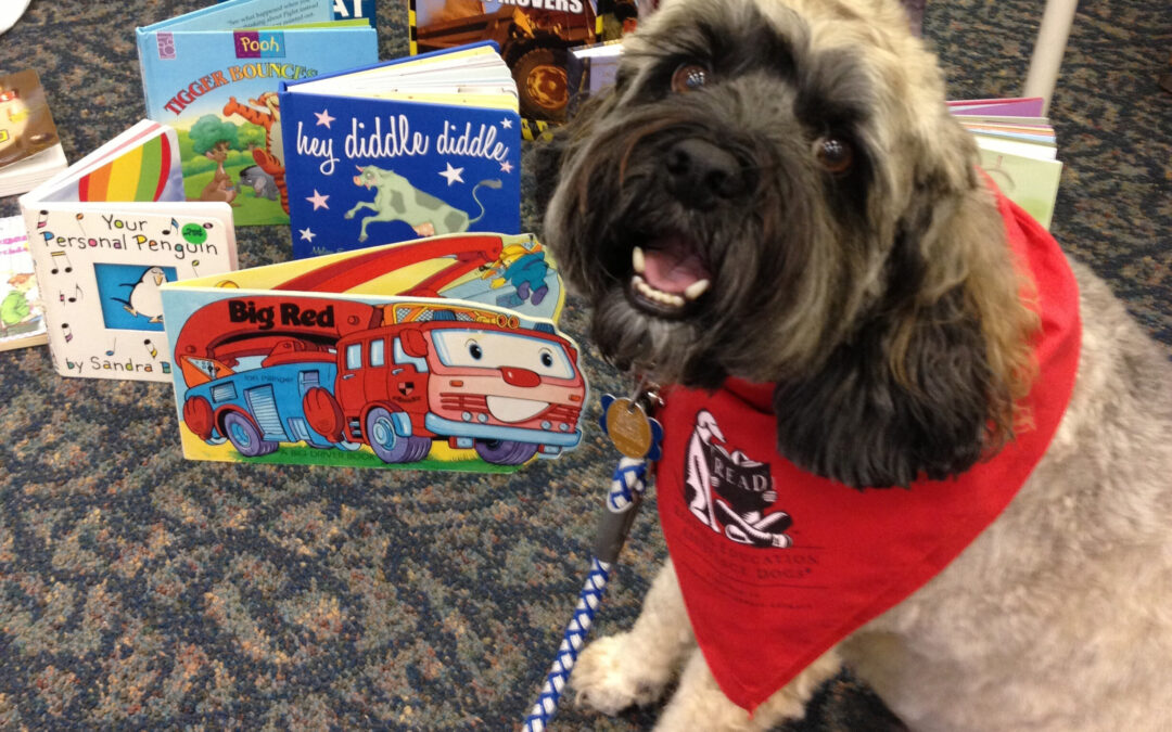 R.E.A.D.ing Paws Therapy Dog Workshop
