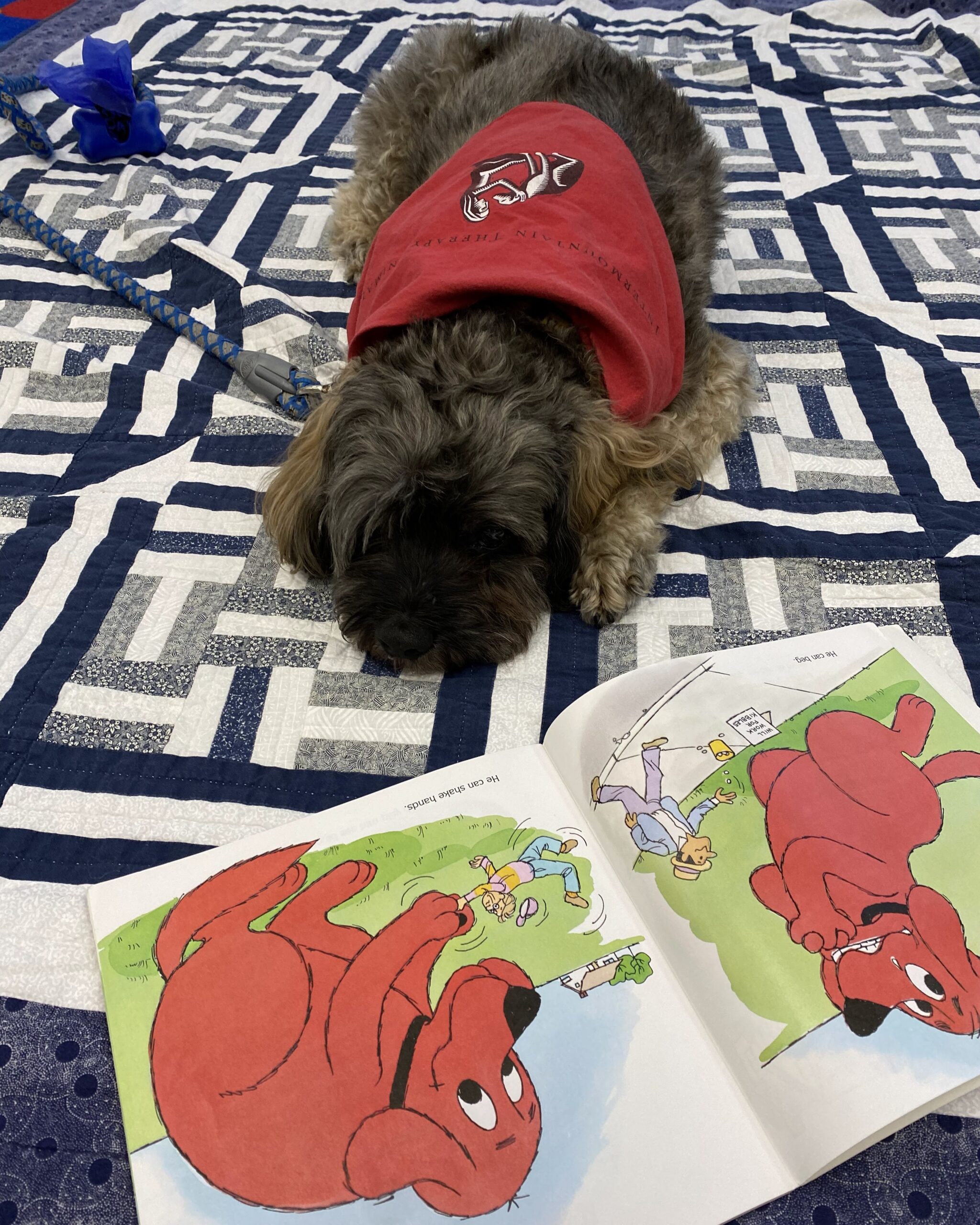 Boomer the Therapy Dog  helping a child read a book.