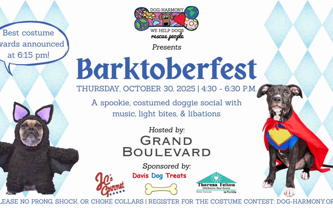 an event graphic for Dog-Harmony's 10th annual Barktoberfest in October 2025 at Grand Boulevard at Sandestin, FL featuring a french bulldog as a bat and a pitbull as superman