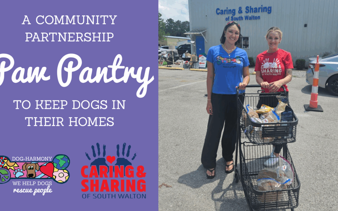 Dog-Harmony Establishes โPaw Pantryโ with Caring & Sharing of South Walton