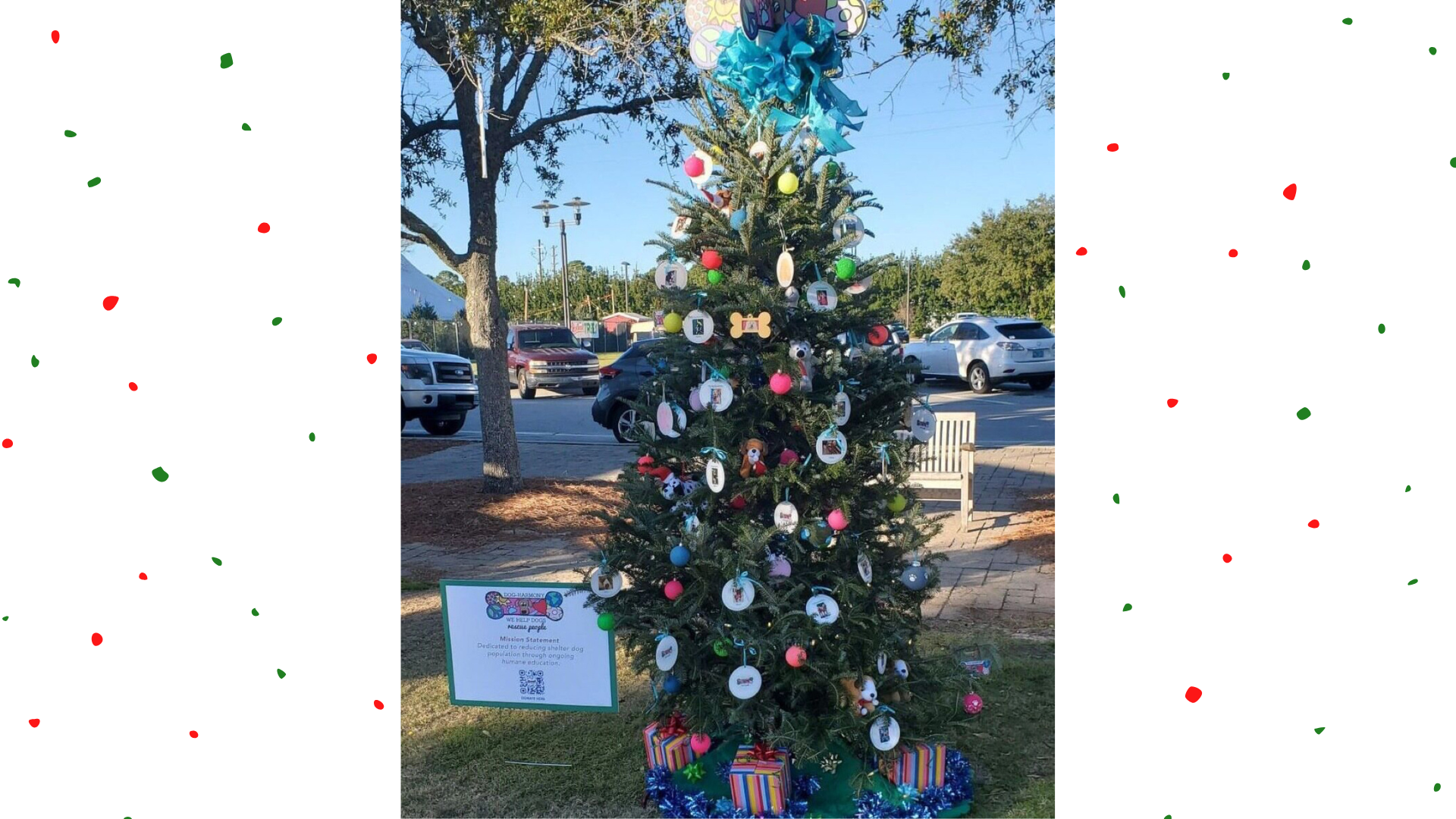 Dog-Harmony Festival of Trees Photo thumbnail