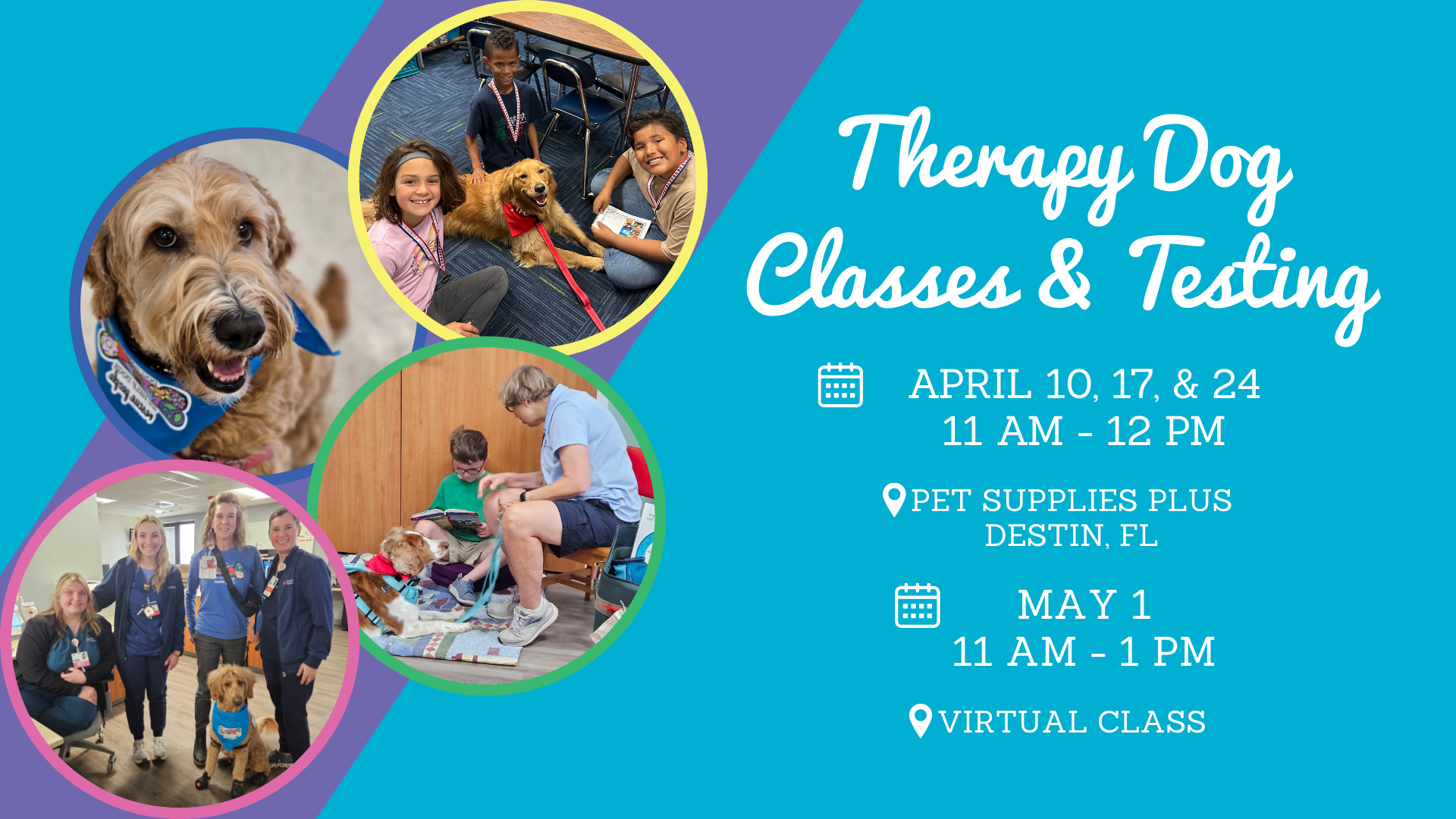 graphic promoting dog-harmony's second of three dog-harmony therapy dog classes & testing in 2025