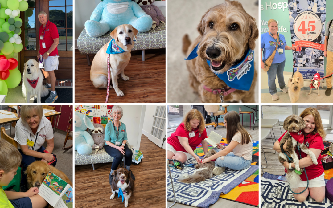 a photo collage of Dog-Harmony therapy dog teams volunteering at hospitals, at-risk youth agencies, and libraries to help children read