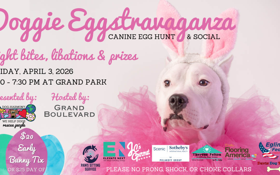 11th Annual Doggie EGGstravaganza