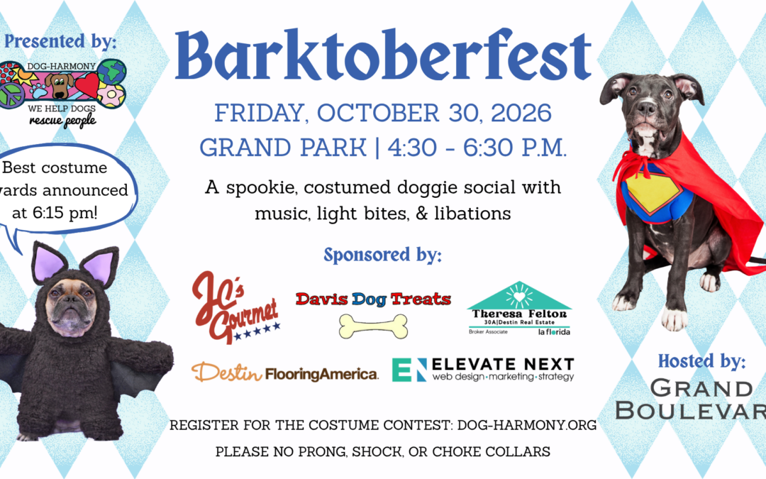 11th Annual Barktoberfest