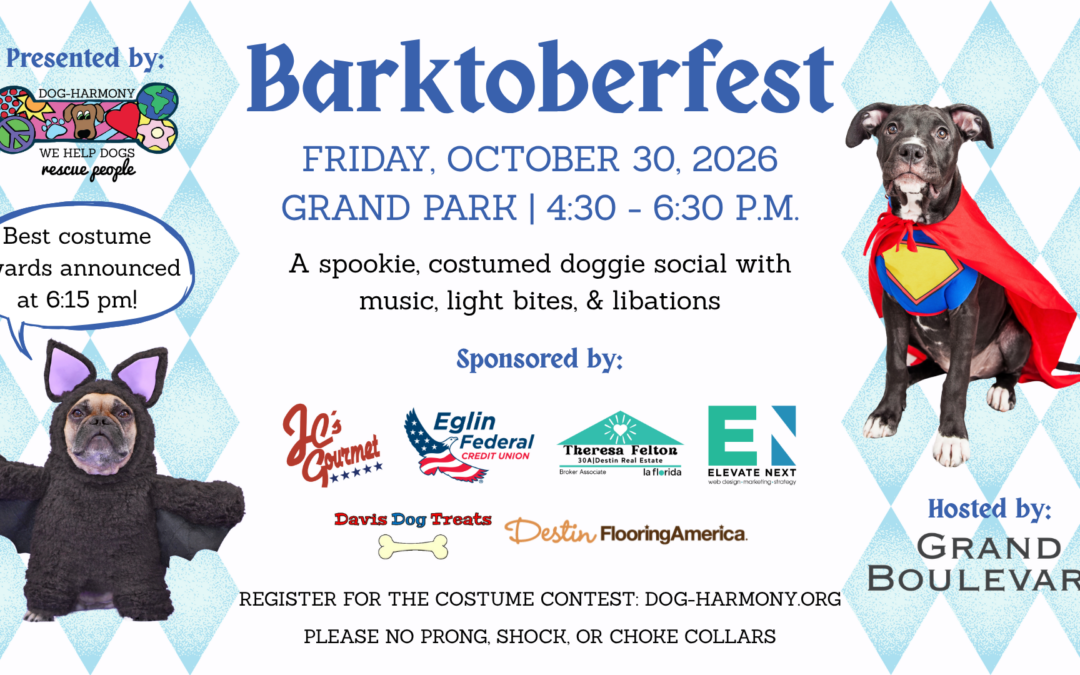 11th Annual Barktoberfest