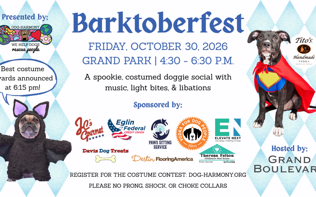 11th Annual Barktoberfest