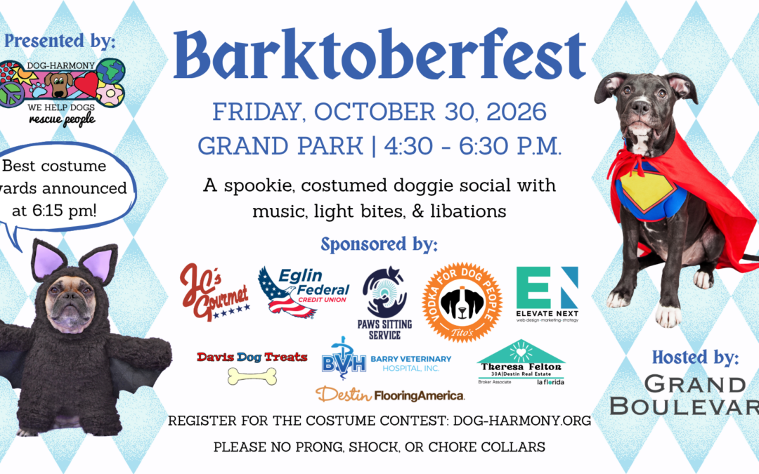 11th Annual Barktoberfest