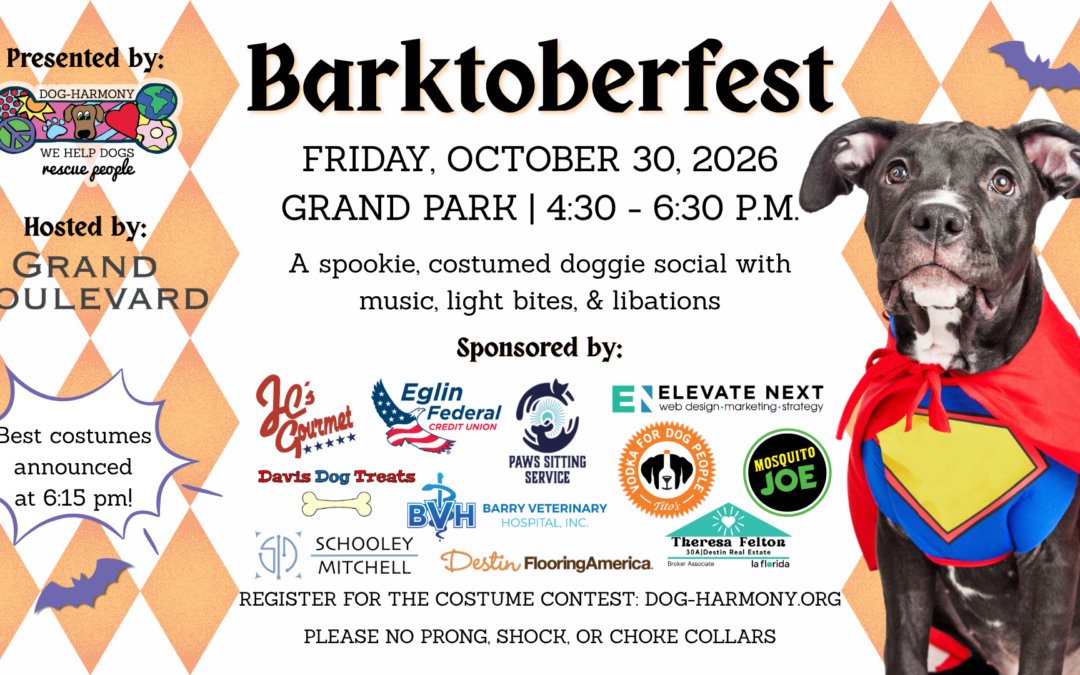 11th Annual Barktoberfest