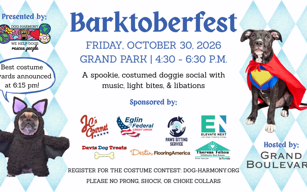 11th Annual Barktoberfest