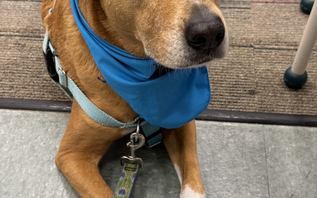 Farms: Story Time with Therapy Dog Chloe